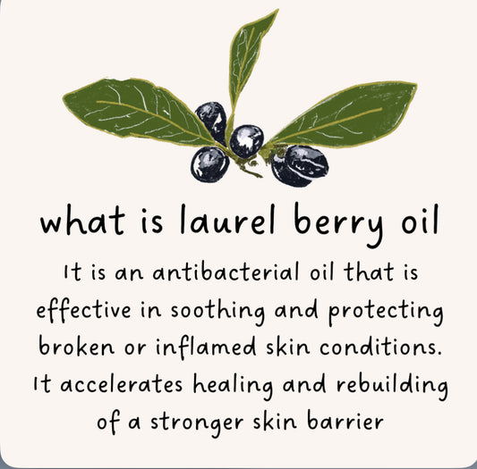 Laurel Berry Botanical Oil Plus✨New!✨
