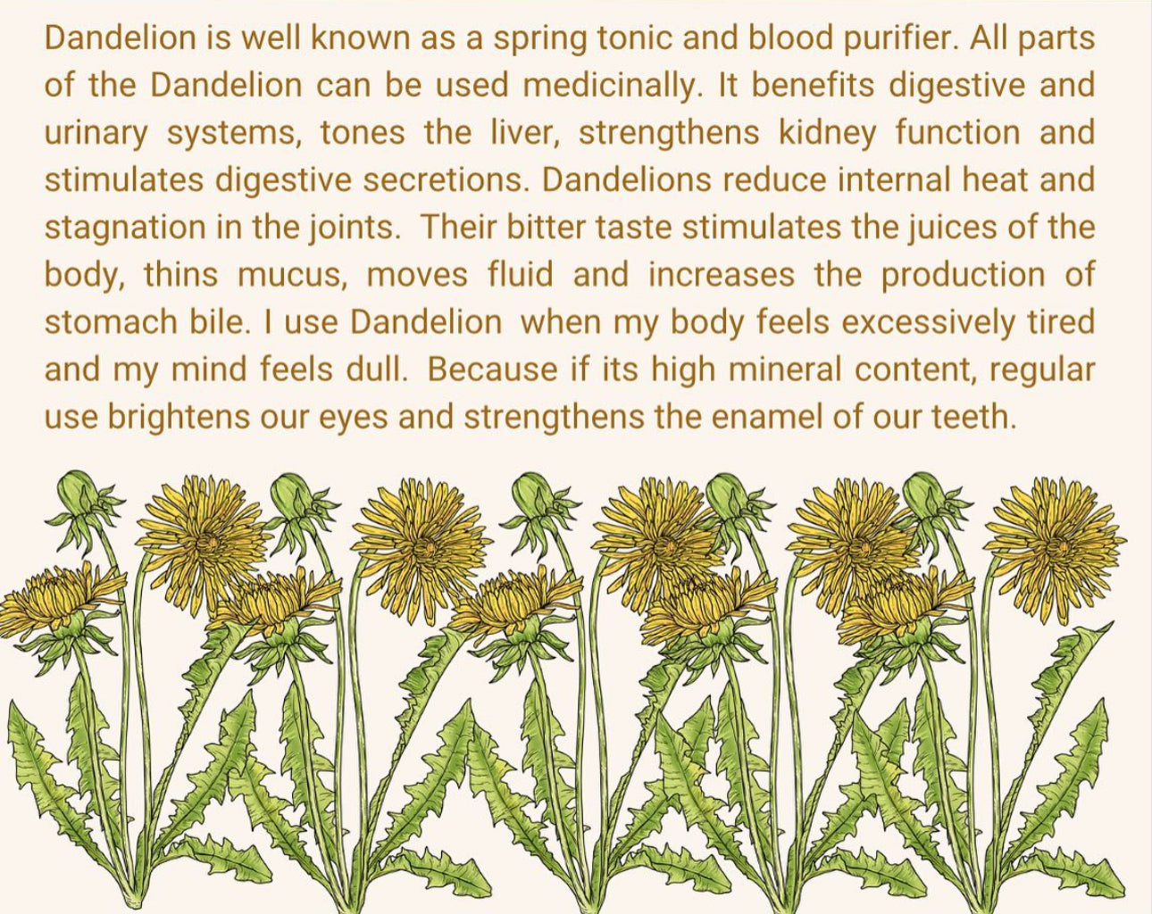 Herbal Tea: Flash