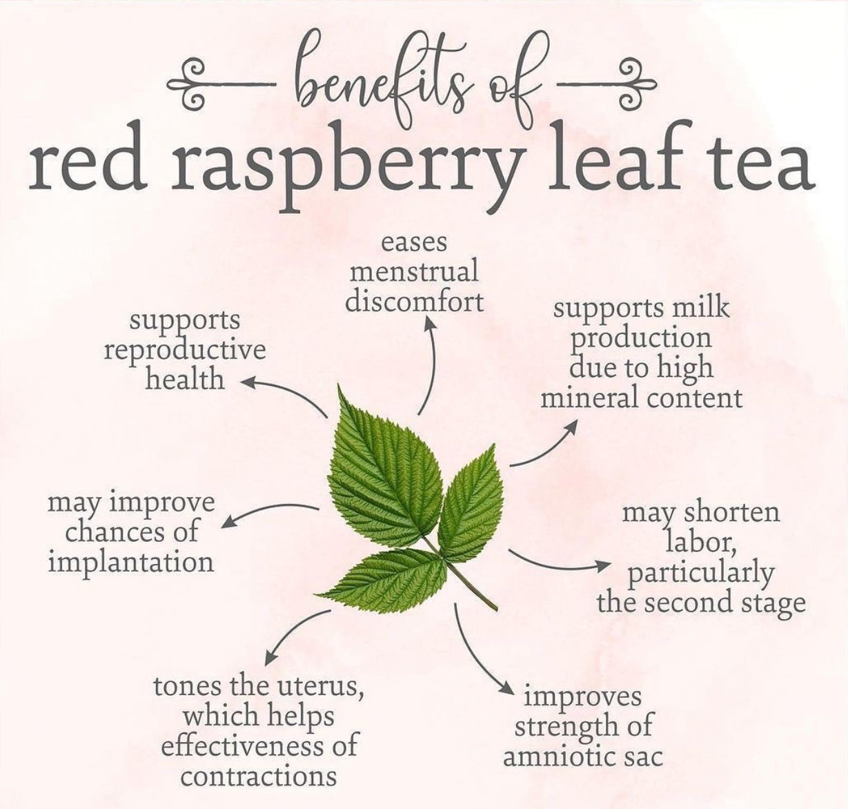 Herbal Tea: Flash