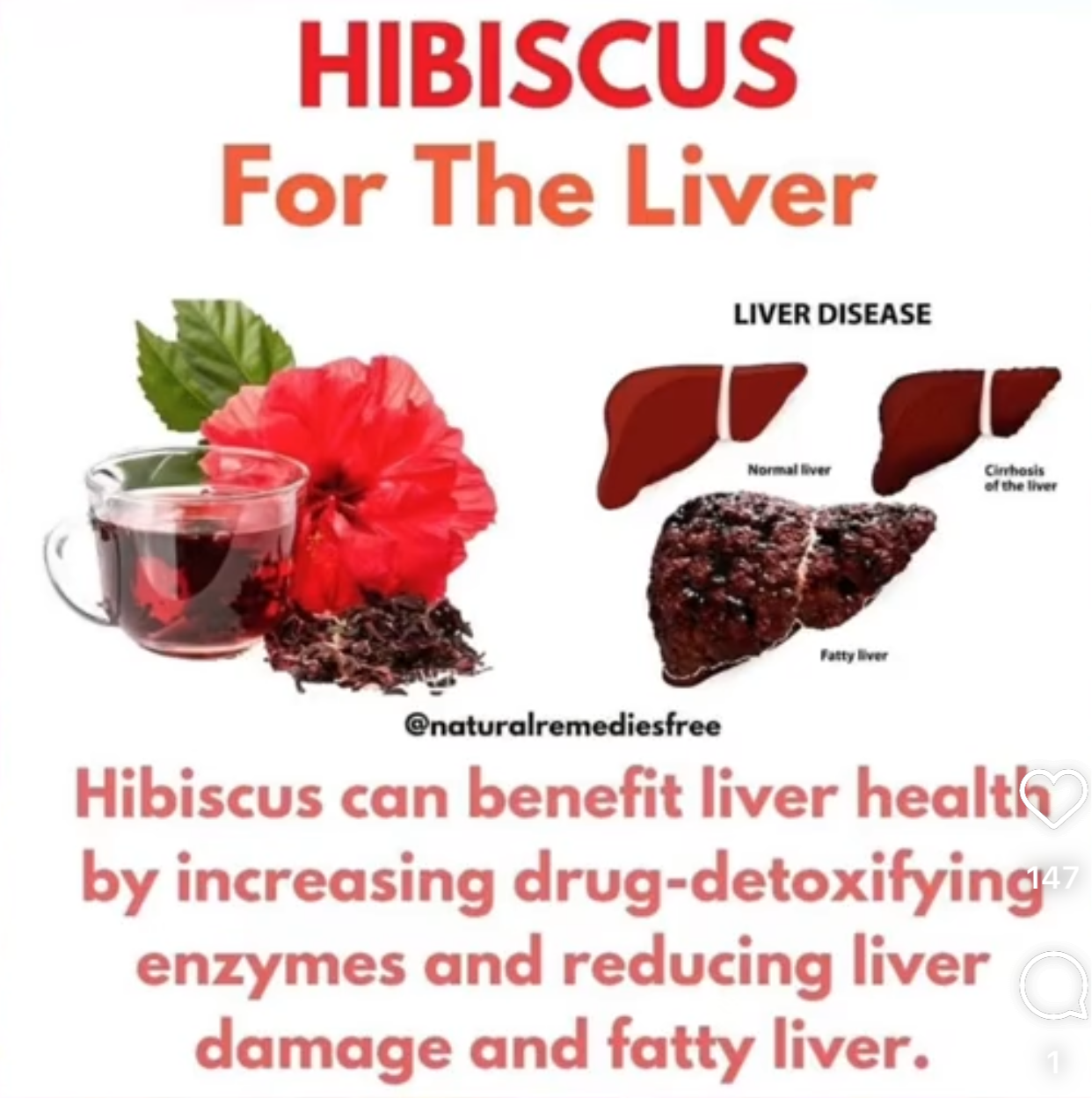 Loose Herbs: Hibiscus- Jamaican Sorrel Drink Kit