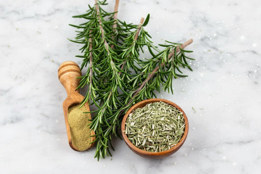 Botanical Hair Therapy