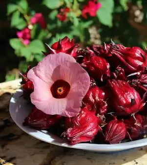 Loose Herbs: Hibiscus- Jamaican Sorrel Drink Kit