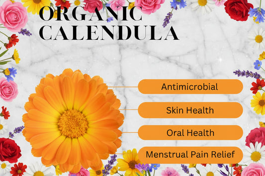 Calendula Oil 🌼