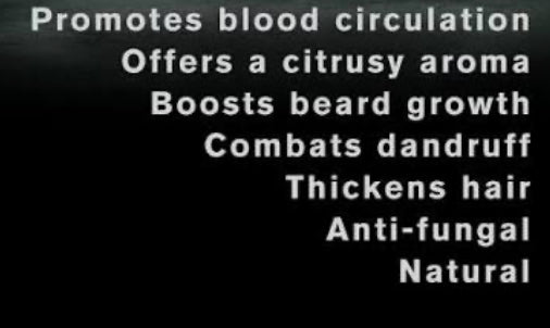 Botanical Oil: Beard ✨New & Improved Formula ✨