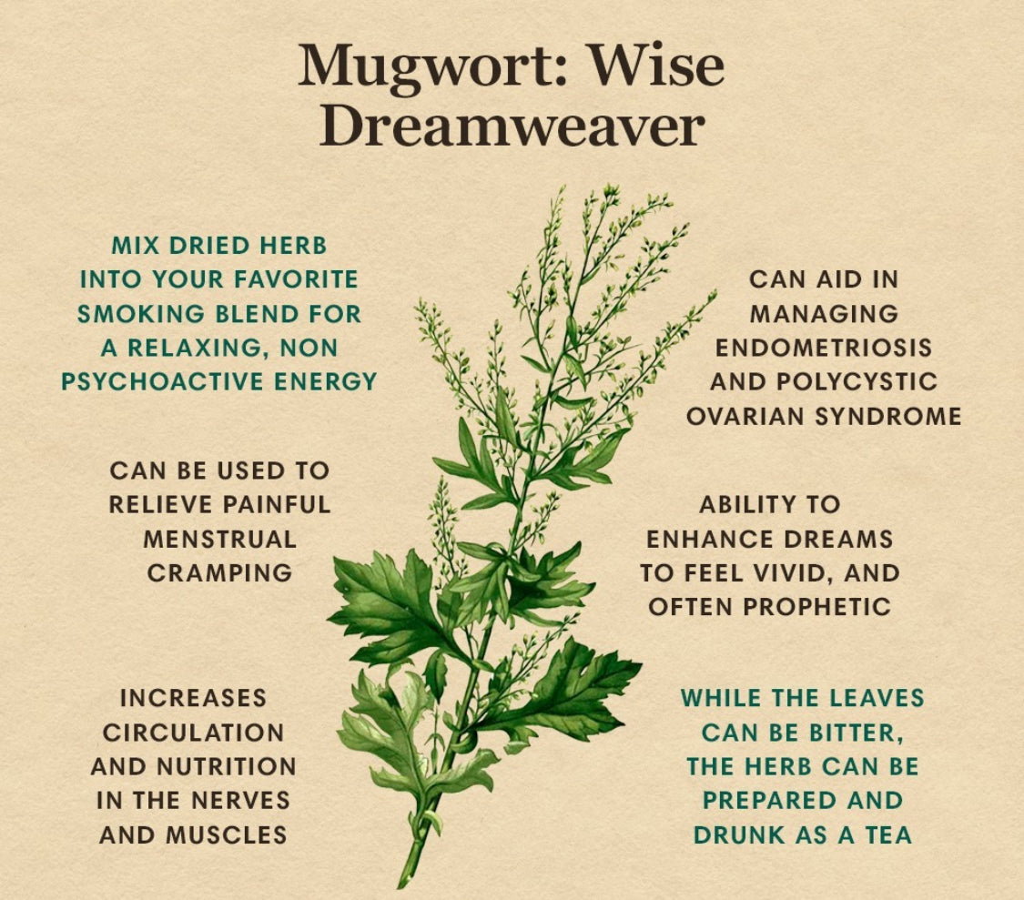 Herbal Tea: Wisdom