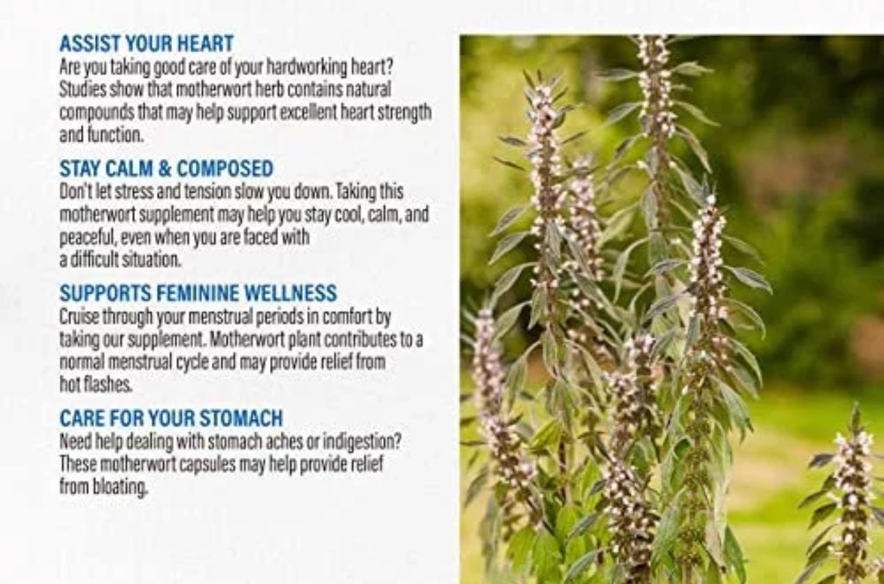 Herbal Tea: Flash