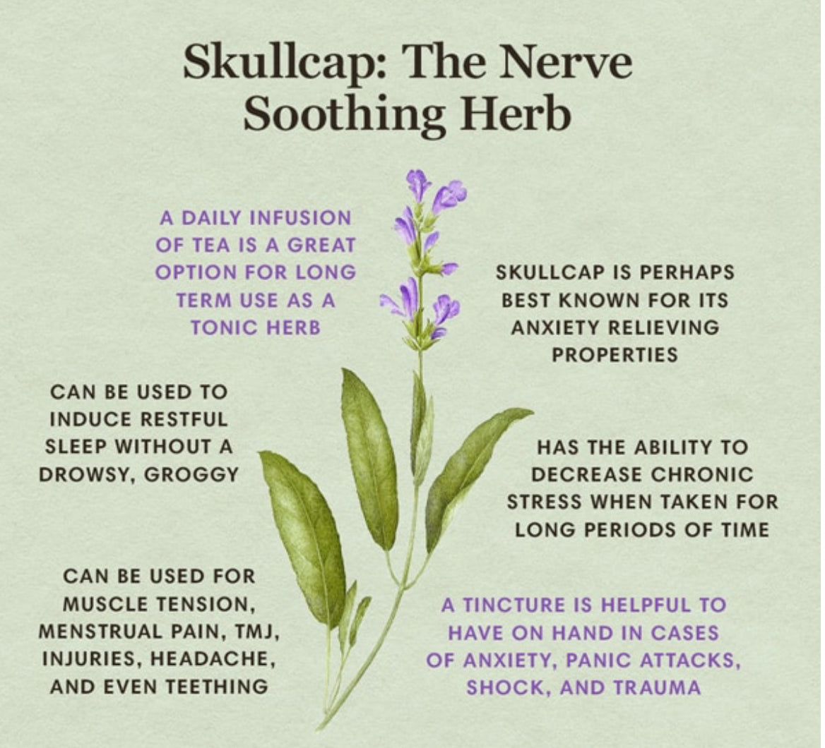 Herbal Tea: Blossom 🦋
