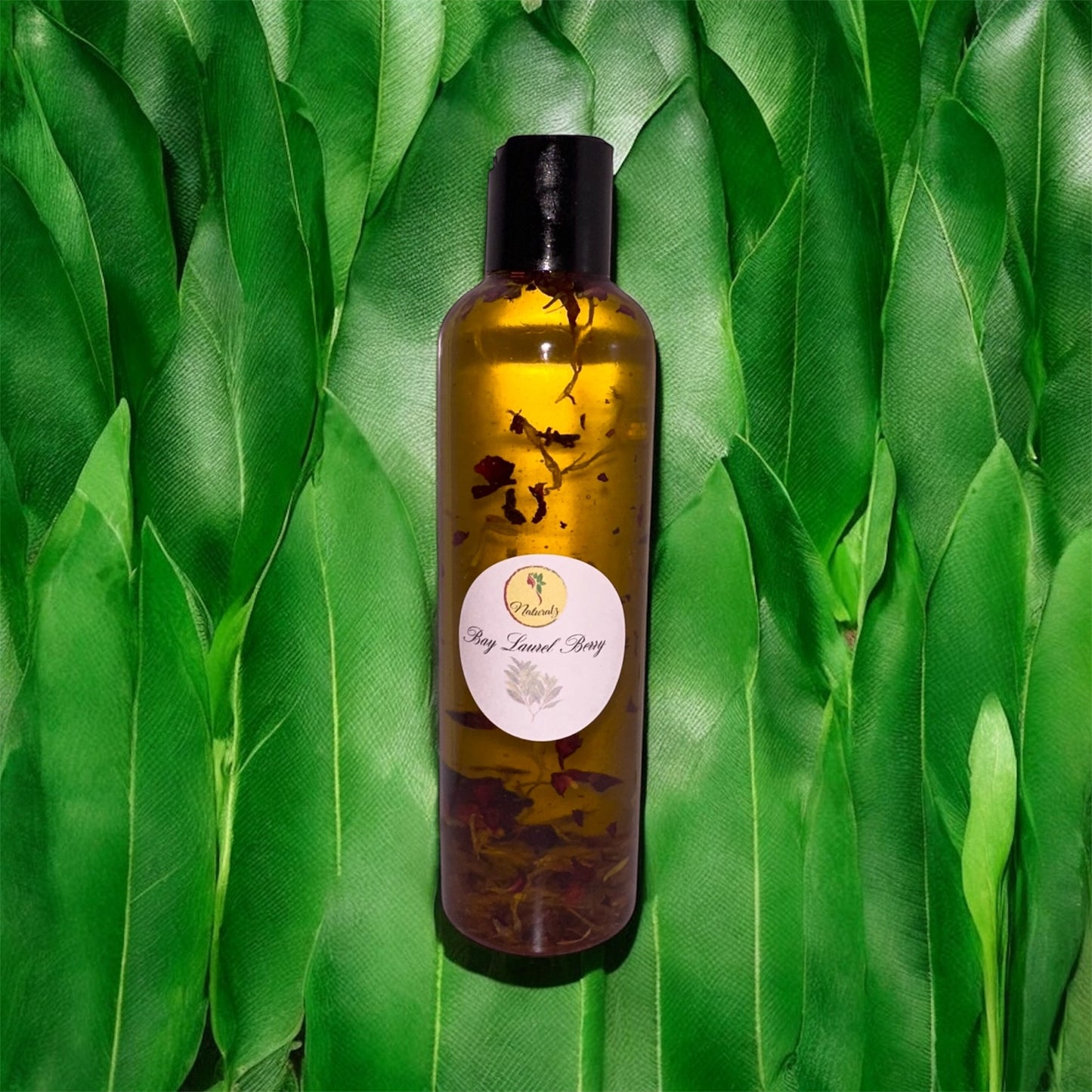 Laurel Berry Botanical Oil Plus✨New!✨