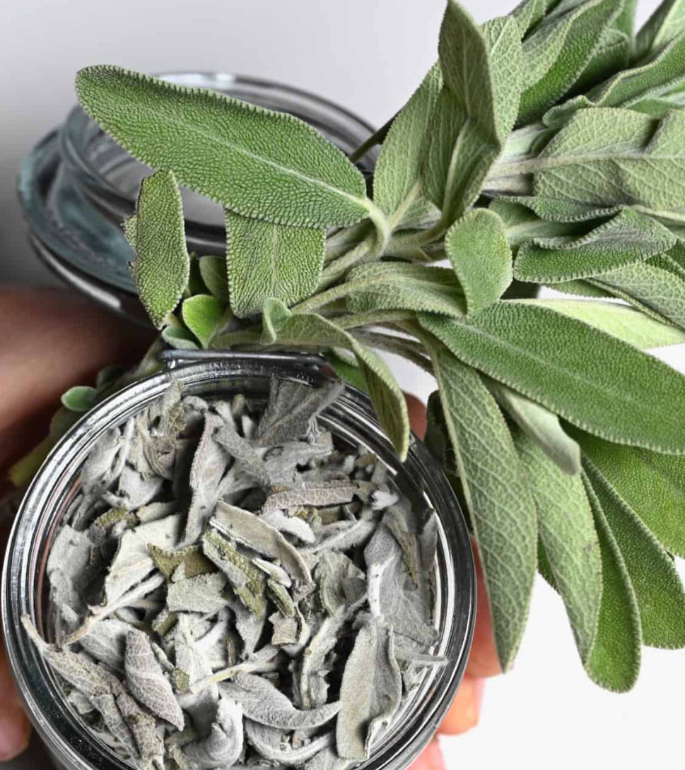 Loose Herbs: Sage