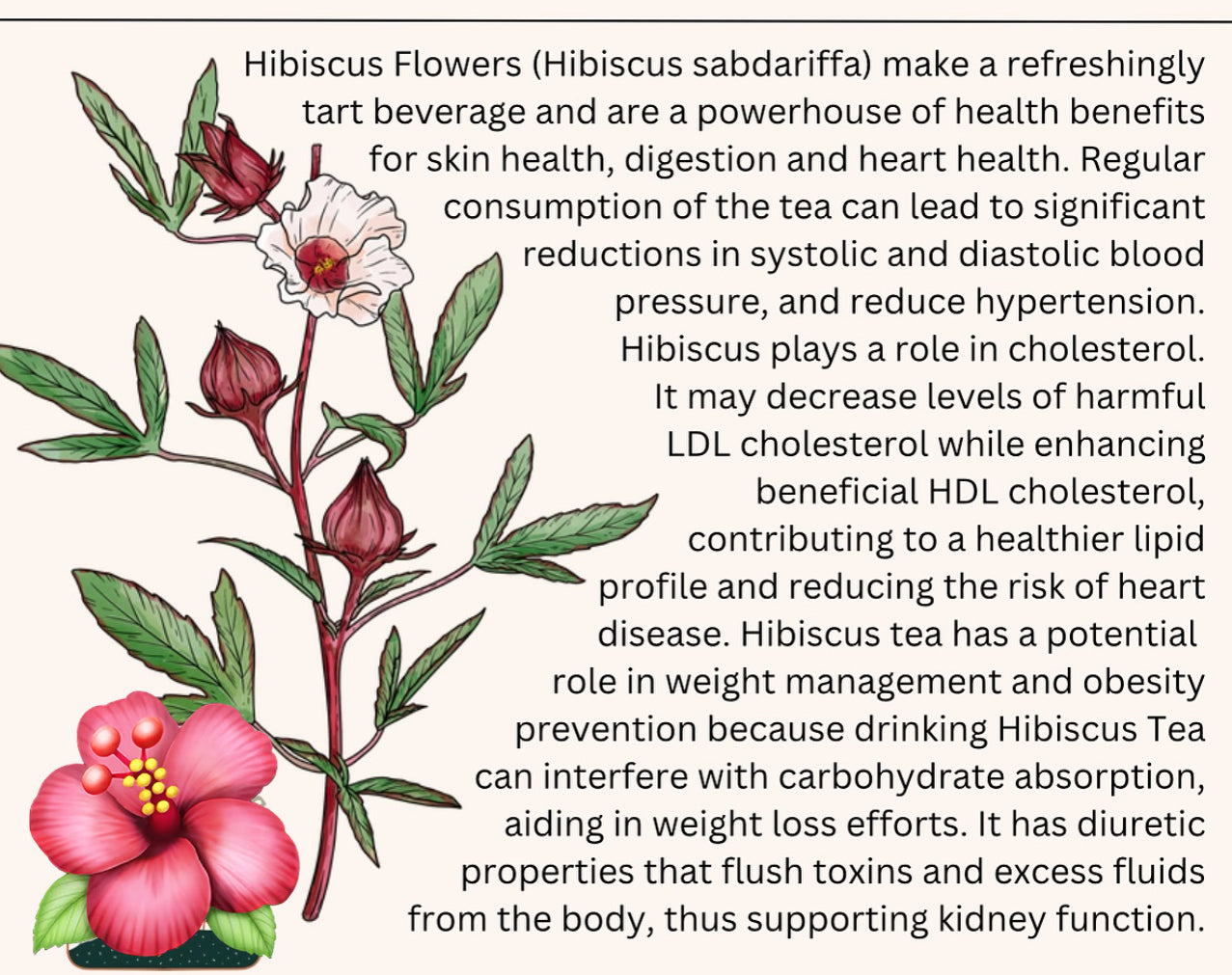 Loose Herbs: Hibiscus- Jamaican Sorrel Drink Kit