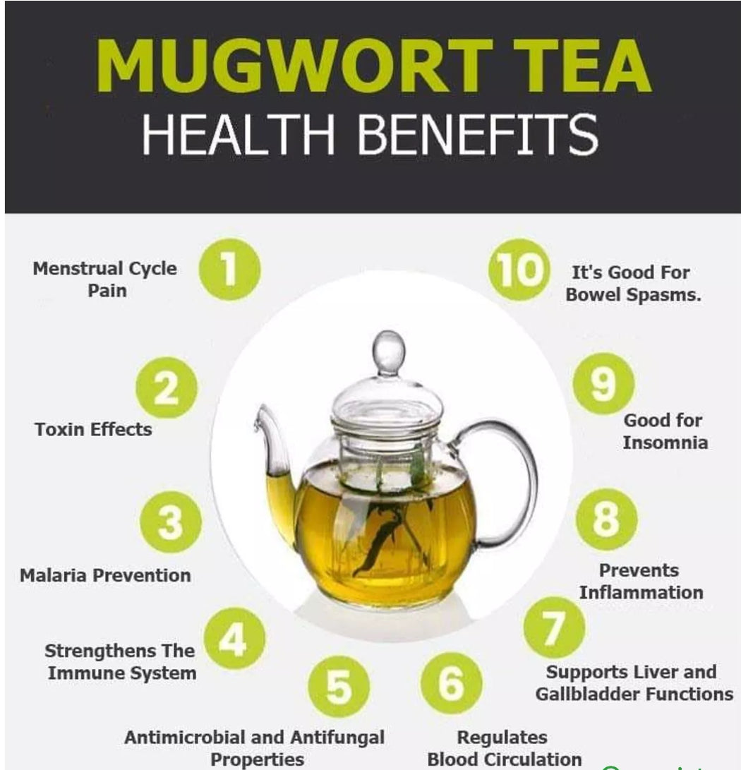 Herbal Tea: Wisdom
