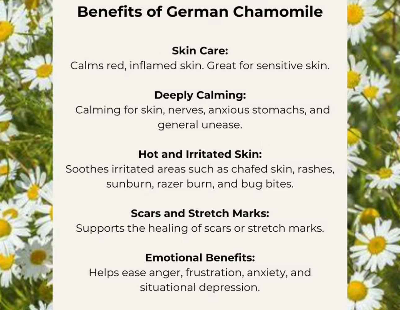 Chamomile Pure Cleanse🌸 Calming