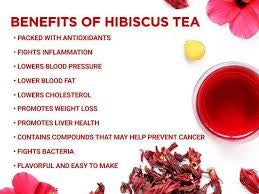 Loose Herbs: Hibiscus- Jamaican Sorrel Drink Kit