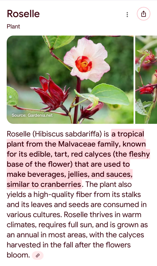 Loose Herbs: Hibiscus Flowers🌺 Limited Special