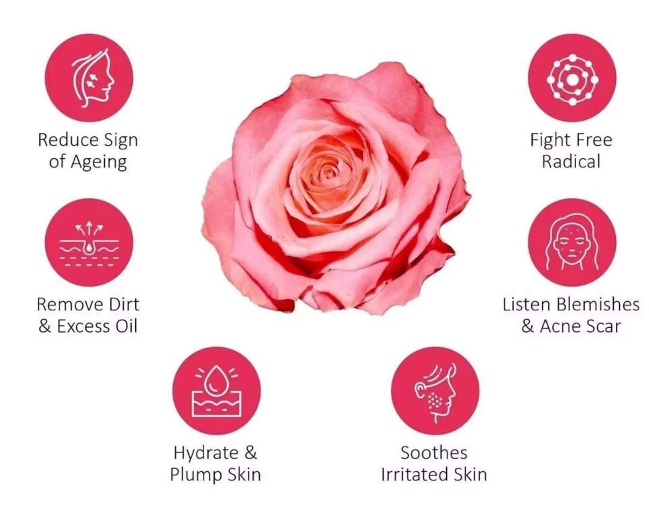 Love Botanical Heart Bar💗 HibiscusRose 🌺🌹