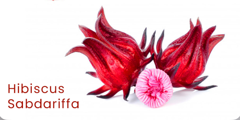 Loose Herbs: Hibiscus- Jamaican Sorrel Drink Kit