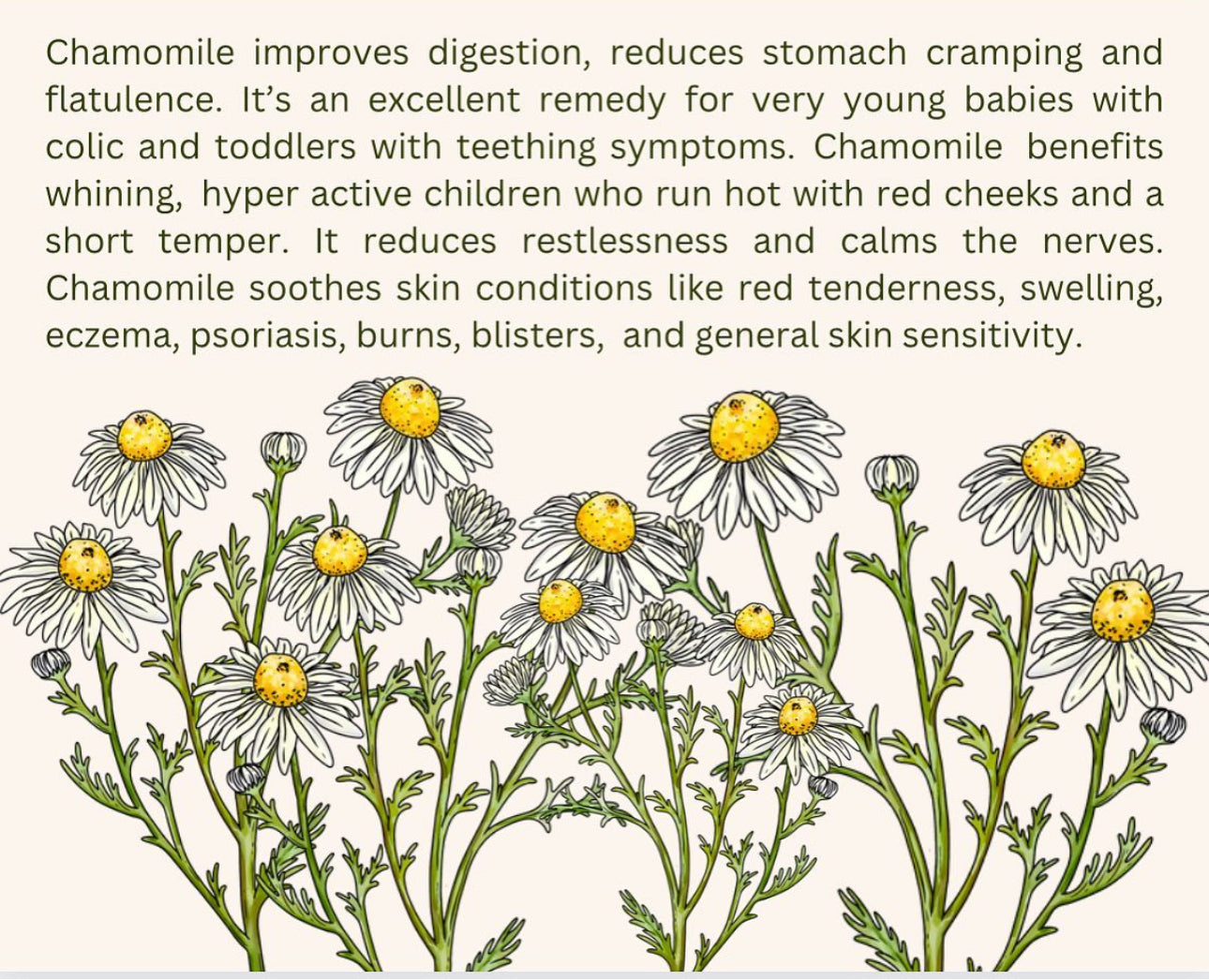 Botanical Oil: Repair