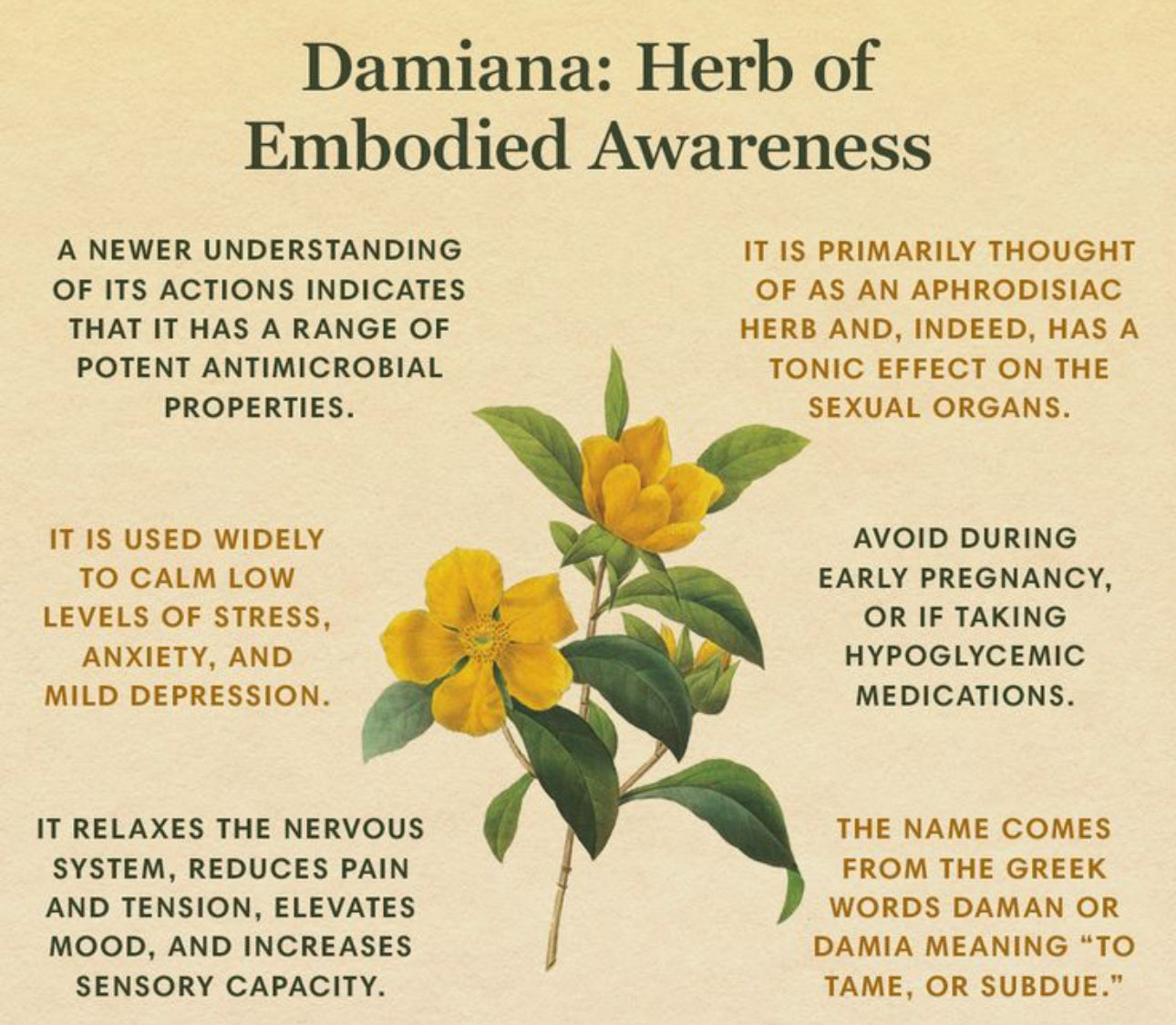 Loose Herbs- Damiana Leaf