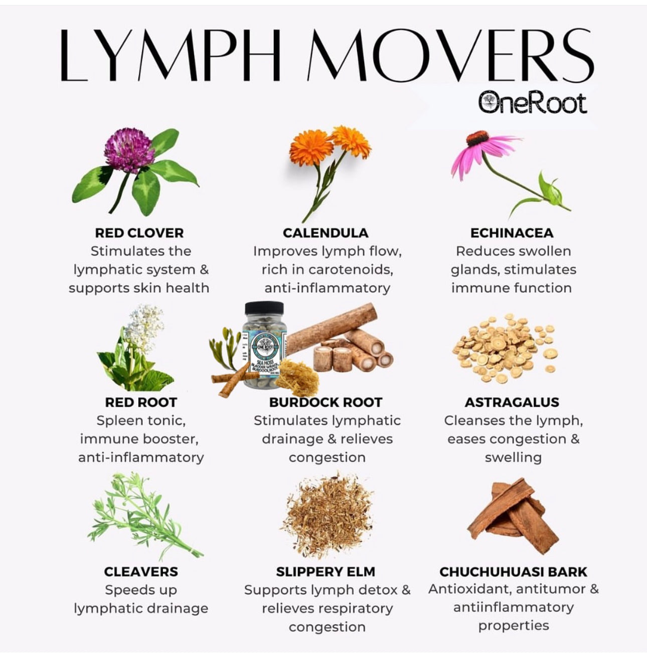 Eczema Bundle✨ 2026