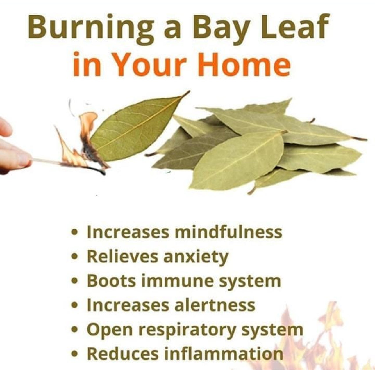 Bay Leaf Aromatherapy Bar