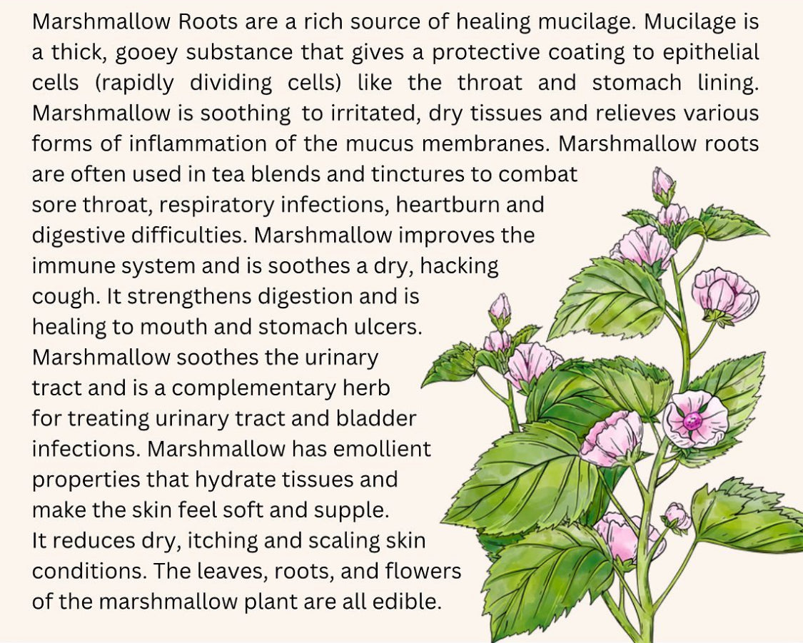 Botanical Oat Triple Butter