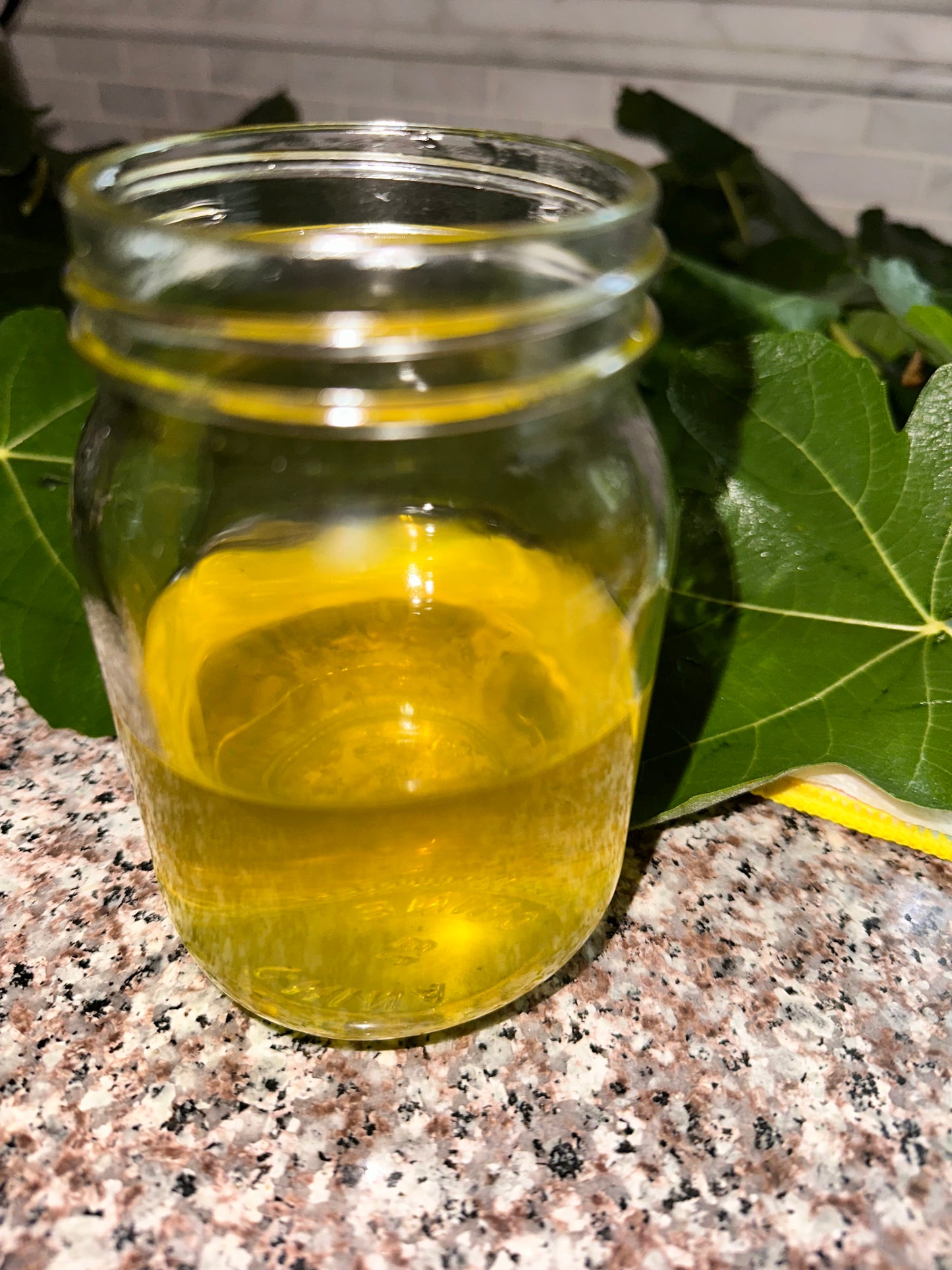 Fig Leaves