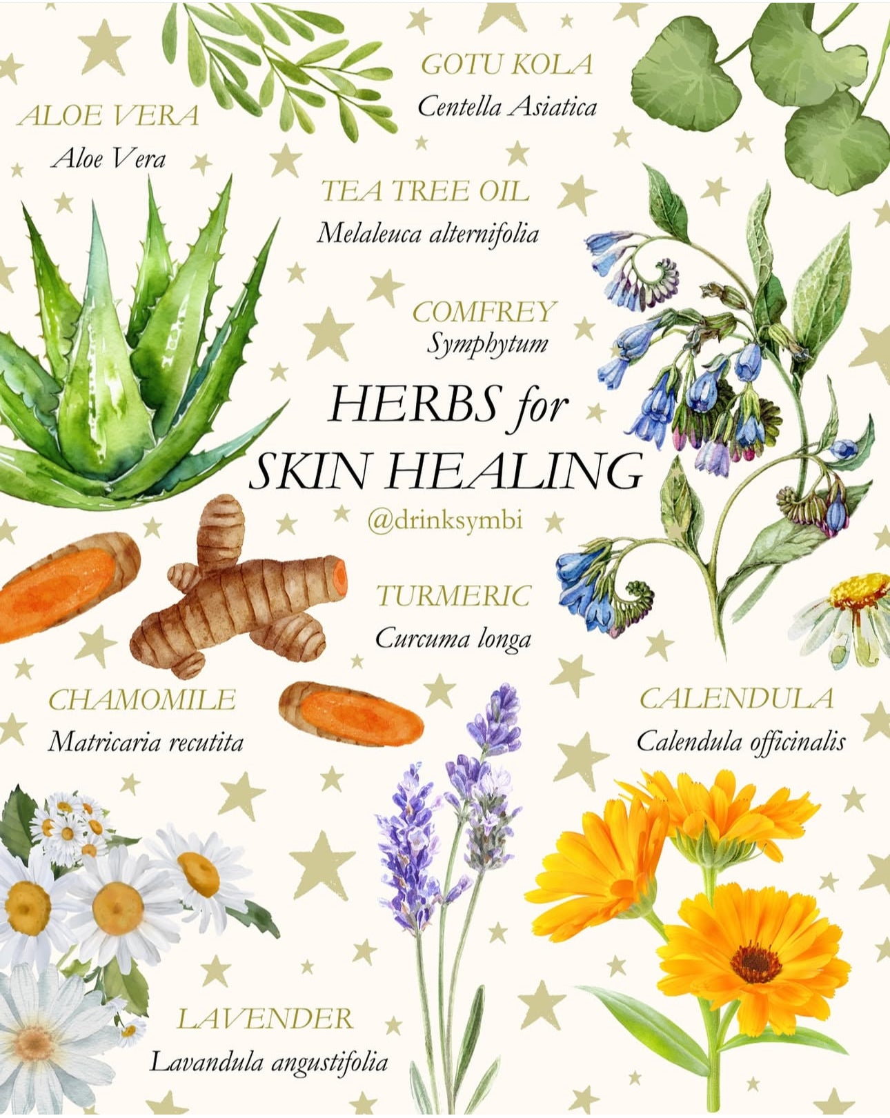 Eczema Bundle✨ 2026