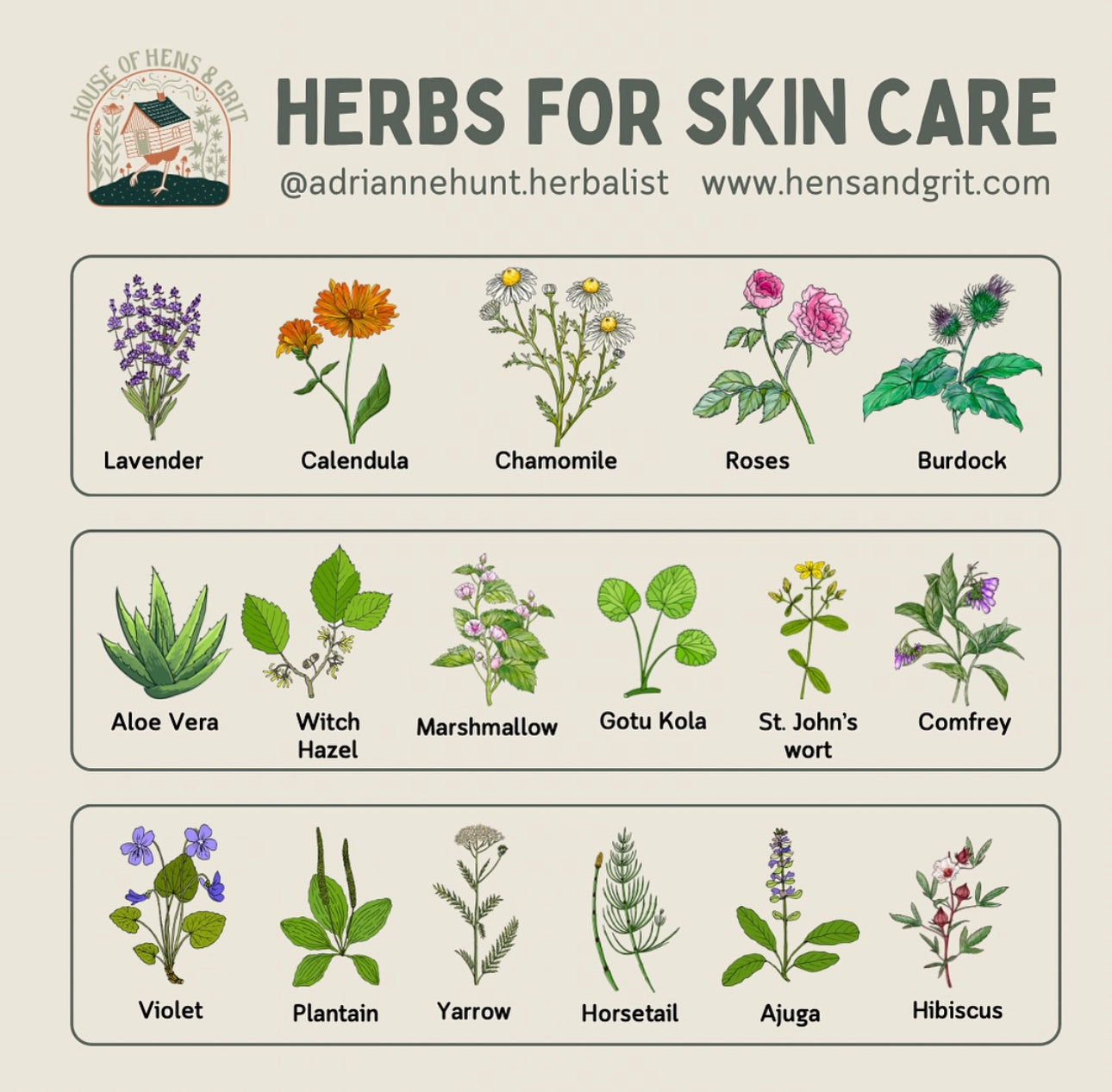 Eczema Bundle✨ 2026