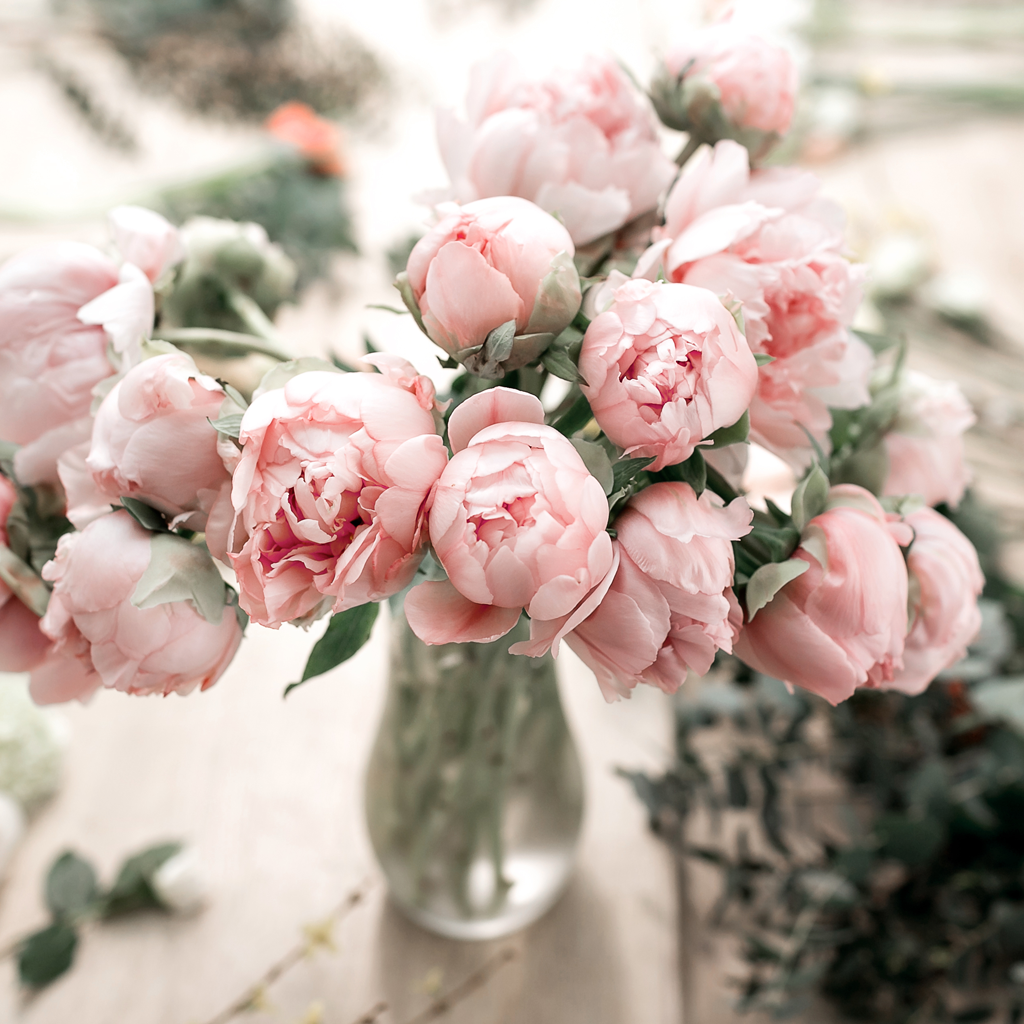 Botanical Love Collection 💗