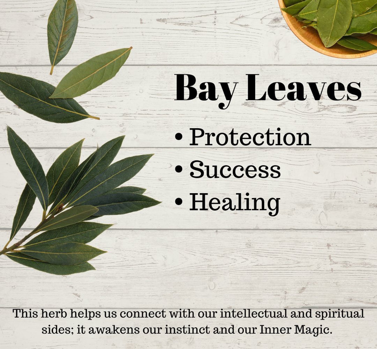 Bay Leaf Aromatherapy Bar