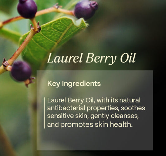 Laurel Berry Healing Cream