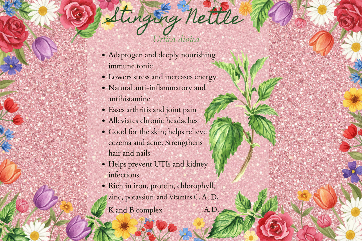 Loose Herbs: Stinging Nettle