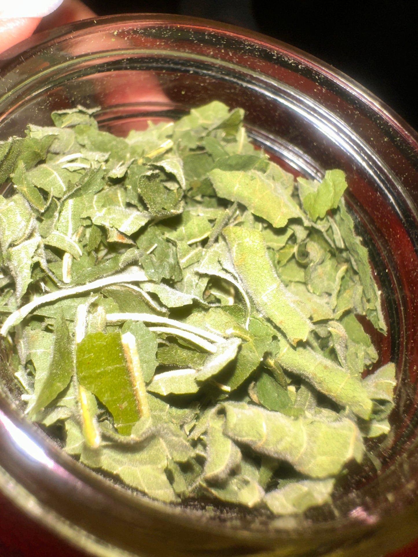 Fig Leaves