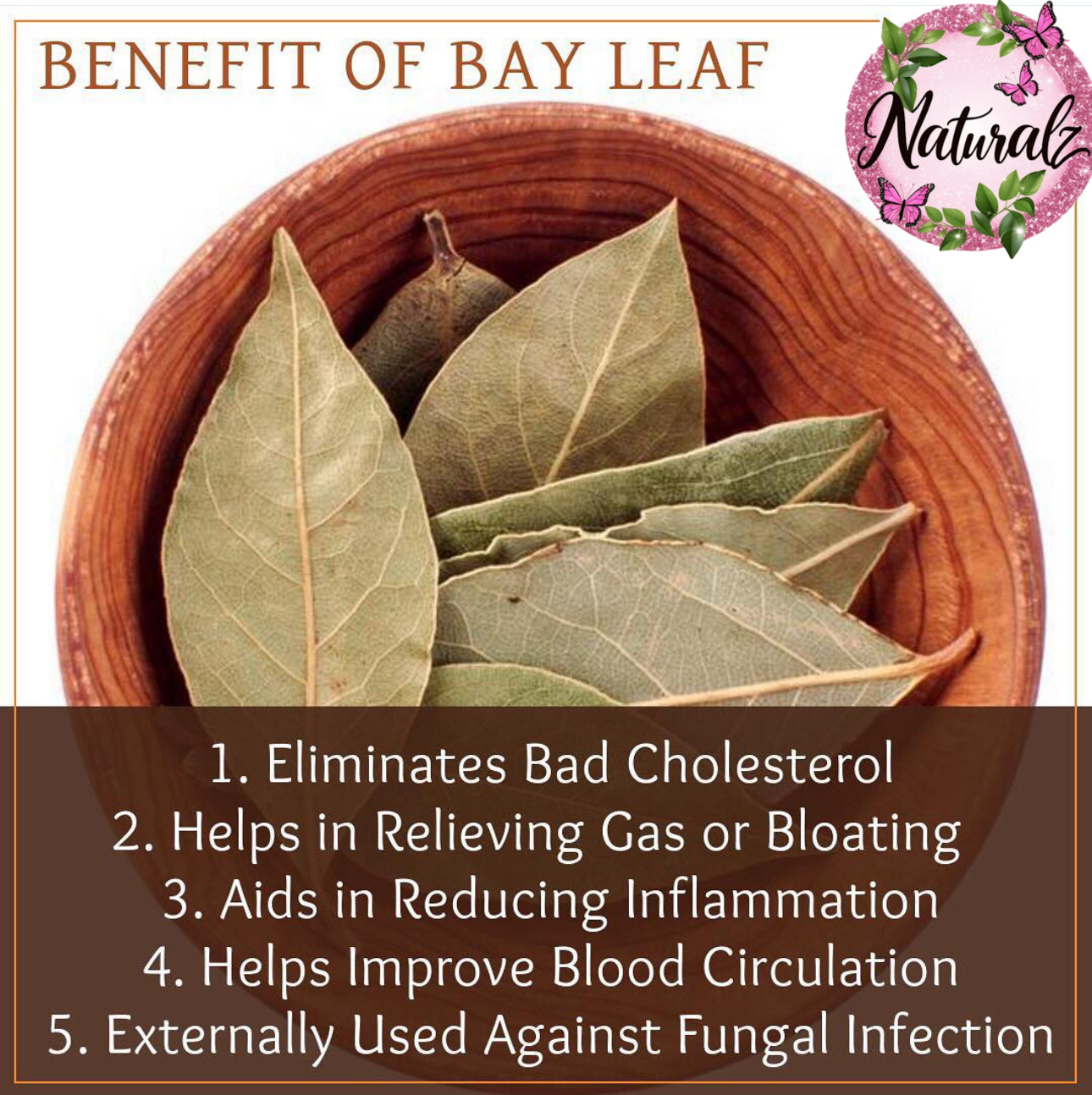 Bay Leaf Aromatherapy Bar