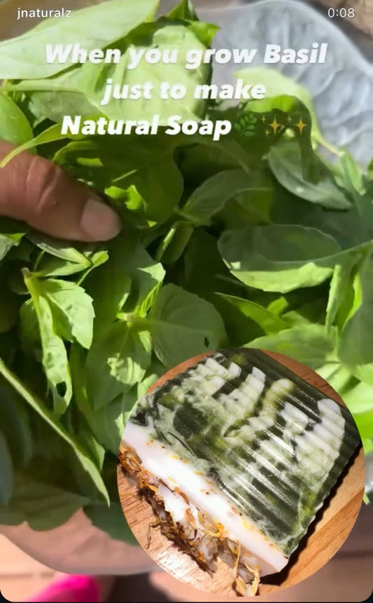 Garden Basil-Lime