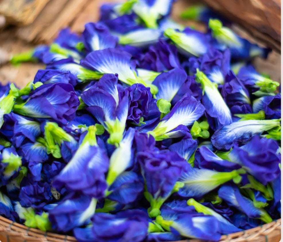 Butterfly Pea Flower Tonic🦋