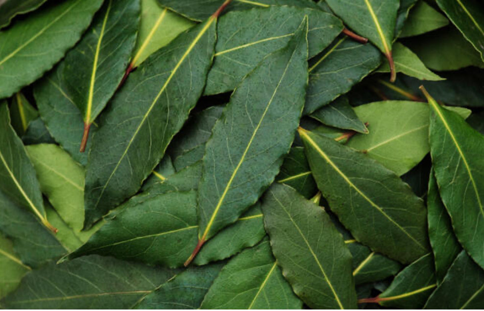 Eczema Bundle✨ 2026