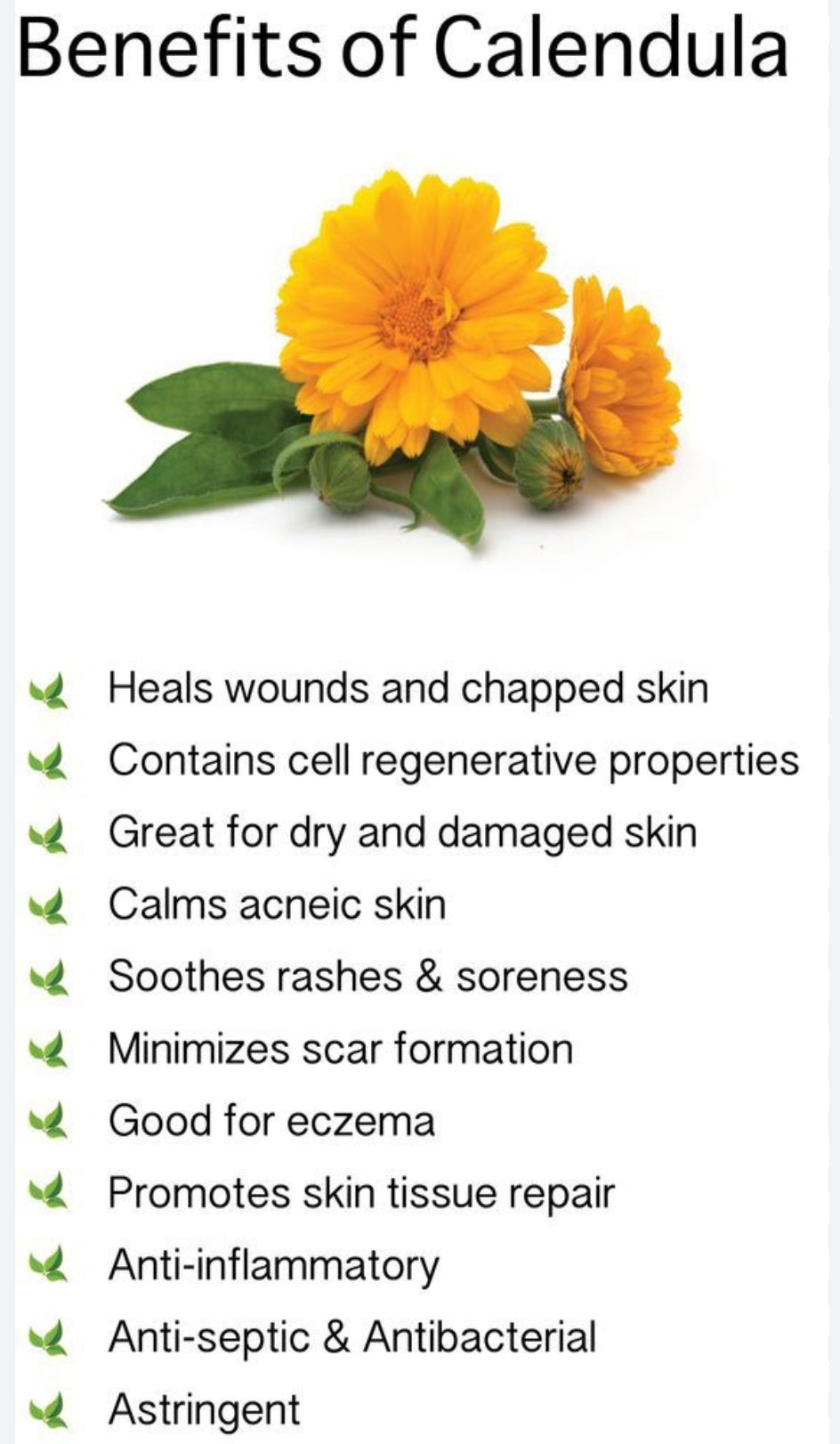 Botanical Turmeric Heart🧡