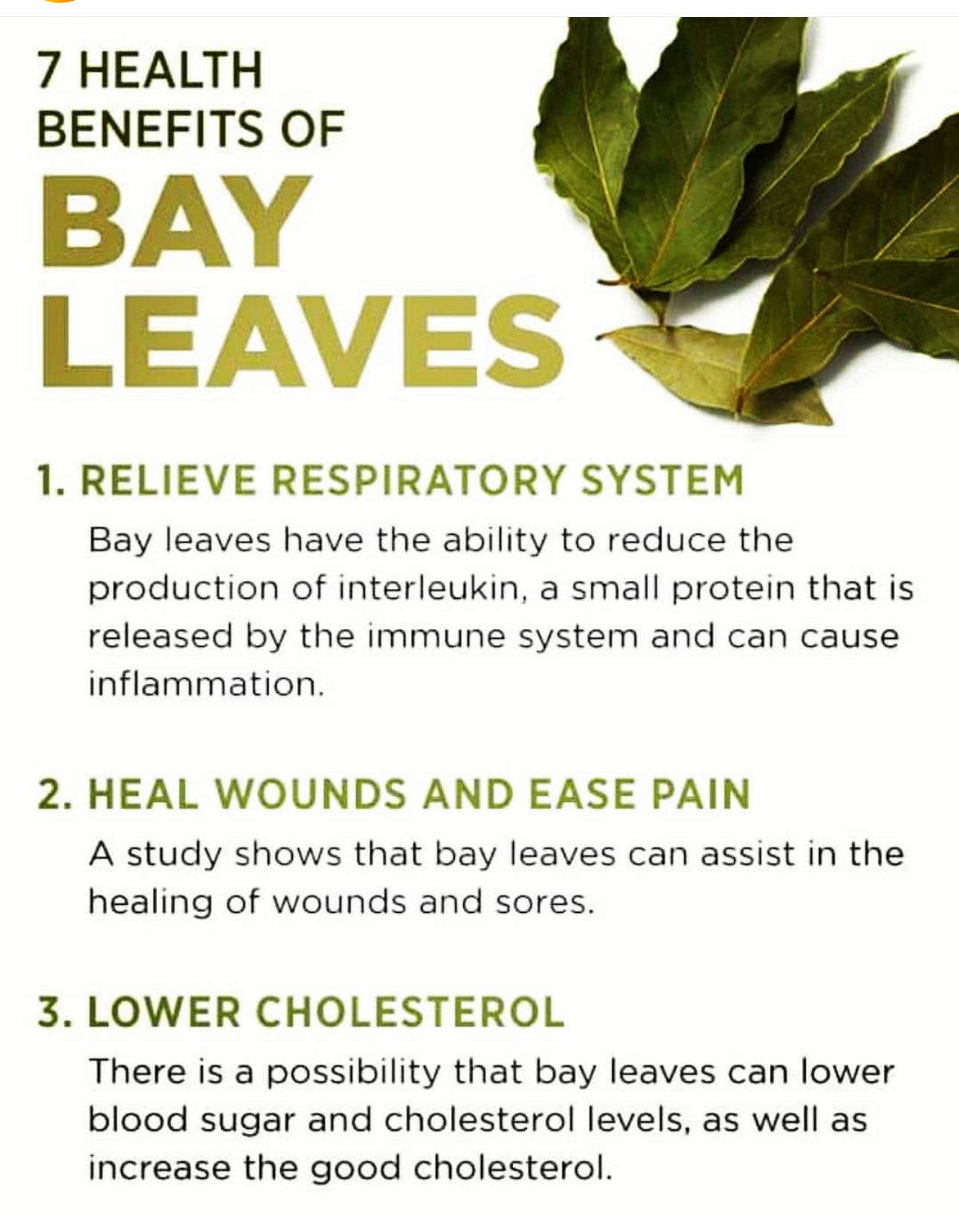 Bay Leaf Aromatherapy Bar