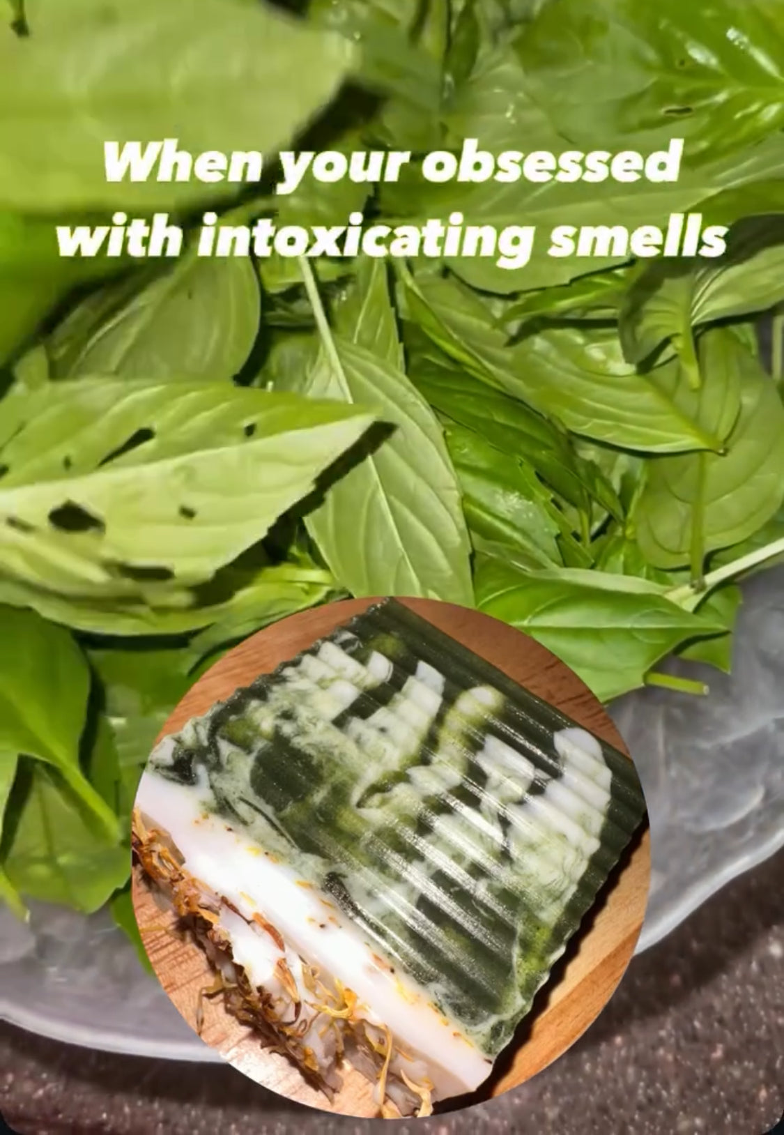 Garden Basil-Lime