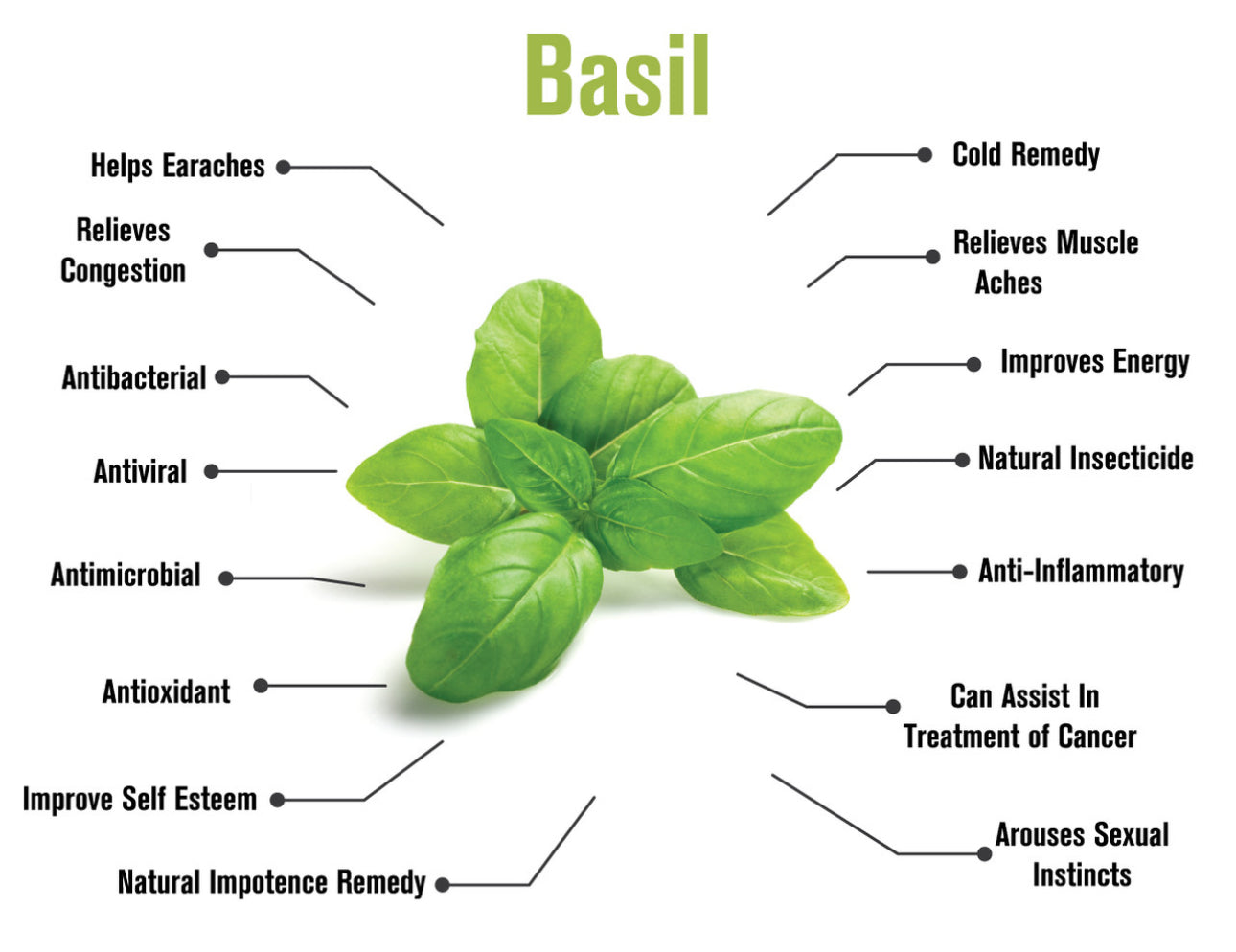 Eczema Bundle✨ 2026