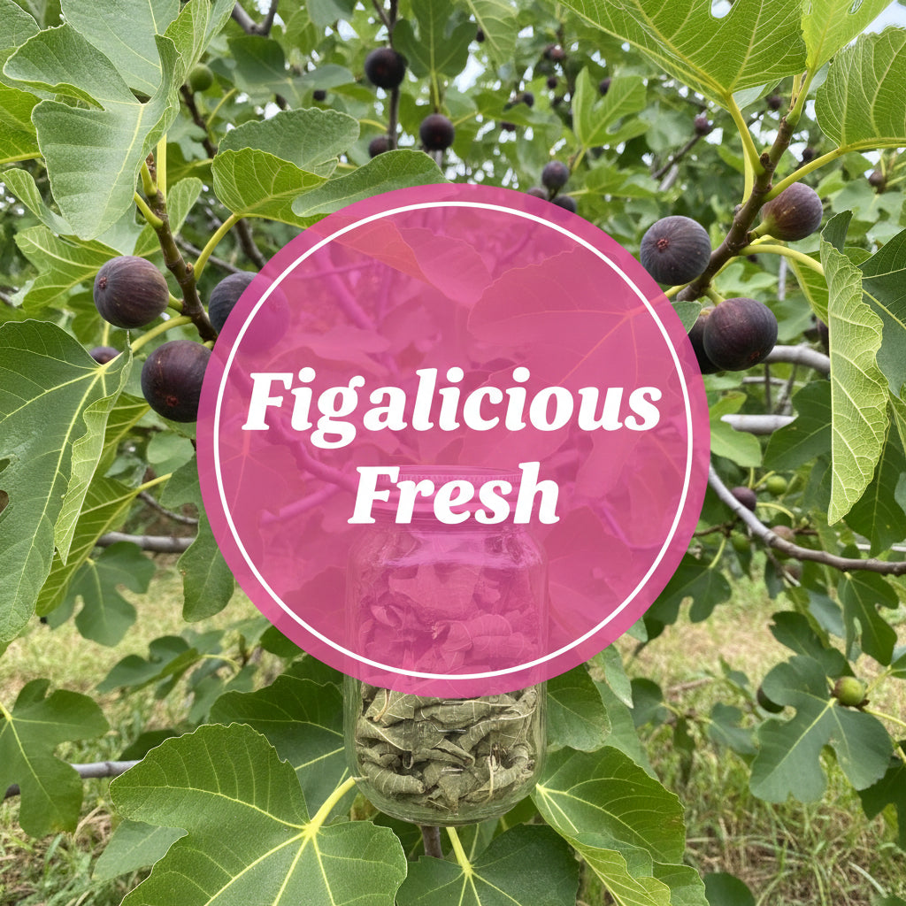 Fig Leaves