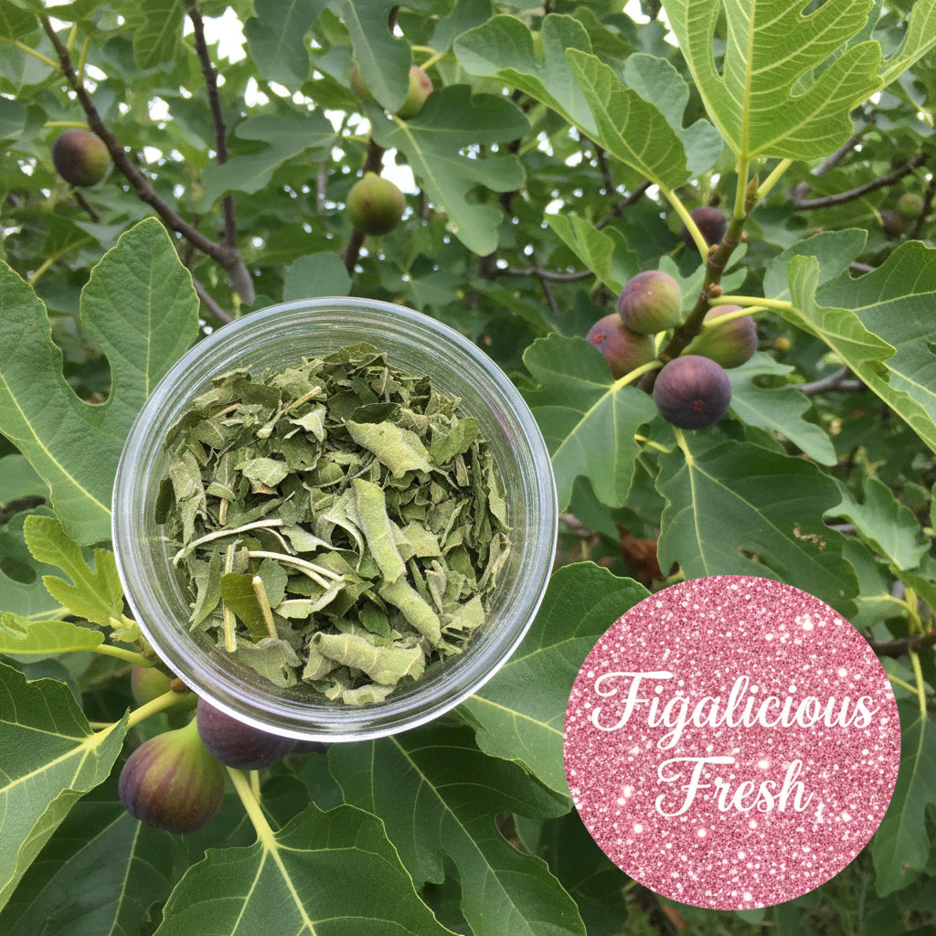 Fig Leaves