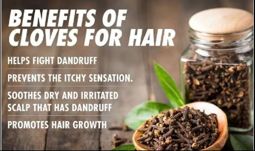 Hair Care Botanical Collection 🌿