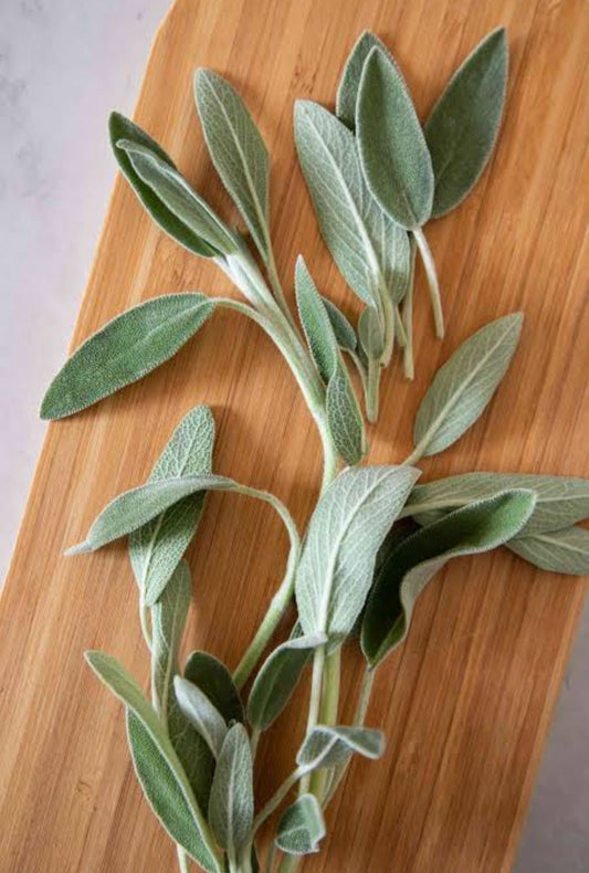 Loose Herbs: Sage