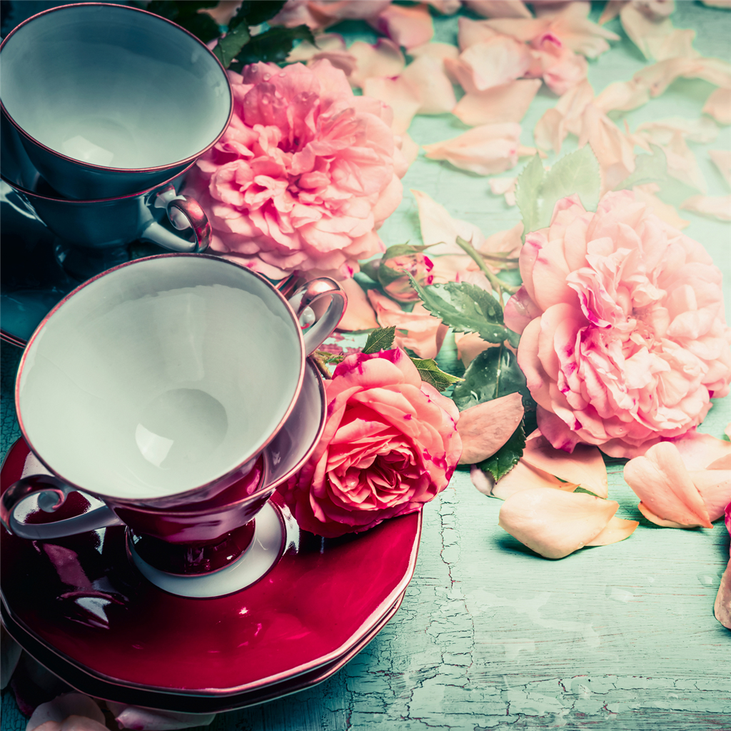 Botanical Love Collection 💗