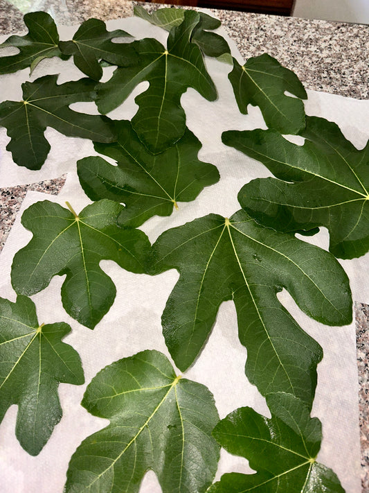 Fig Leaves