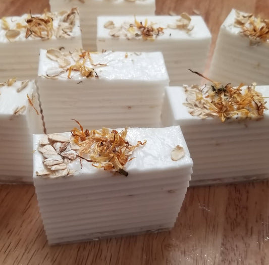 Botanical Oatmeal Bar