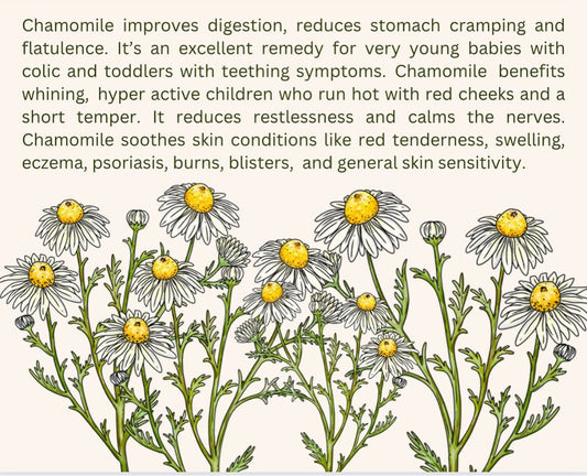 Botanical Oil: Repair