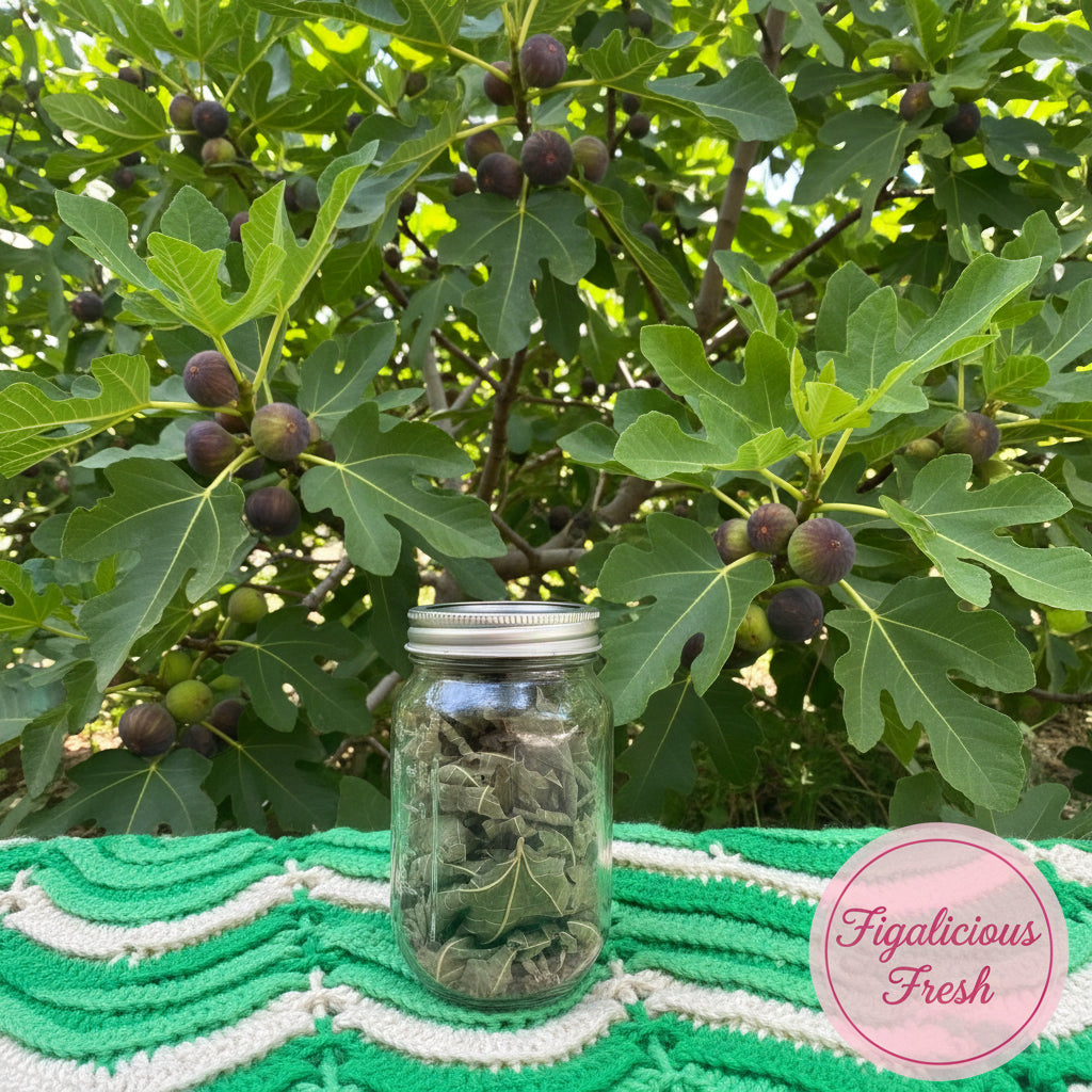 Fig Leaves